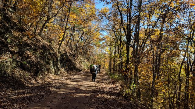 Troop 197 Backpacking Along GA AT, November 2018